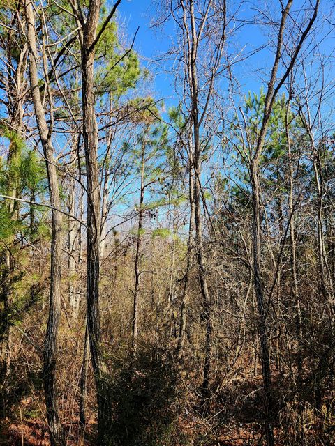Tiny photo for 255 Falling Cliff Drive, South Pittsburg, TN 37380 (MLS # 1529035)