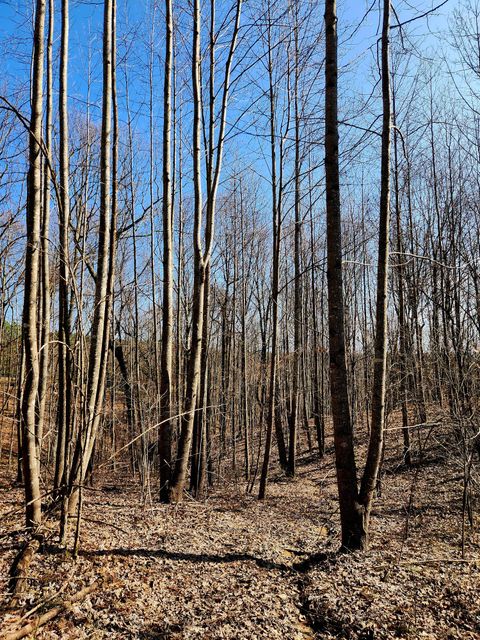 Tiny photo for 255 Falling Cliff Drive, South Pittsburg, TN 37380 (MLS # 1529035)