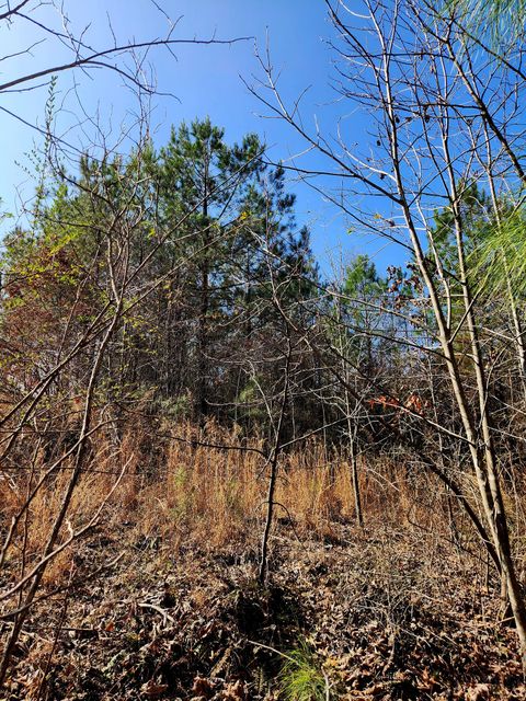 Tiny photo for 255 Falling Cliff Drive, South Pittsburg, TN 37380 (MLS # 1529035)