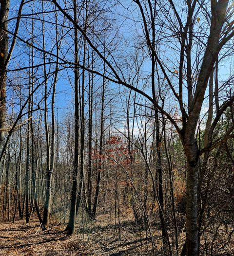 Tiny photo for 255 Falling Cliff Drive, South Pittsburg, TN 37380 (MLS # 1529035)