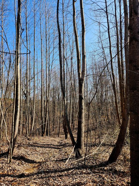 Tiny photo for 255 Falling Cliff Drive, South Pittsburg, TN 37380 (MLS # 1529035)