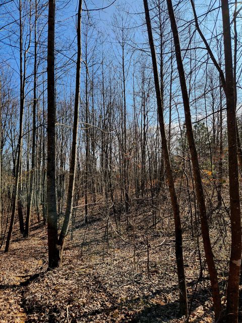 Tiny photo for 255 Falling Cliff Drive, South Pittsburg, TN 37380 (MLS # 1529035)