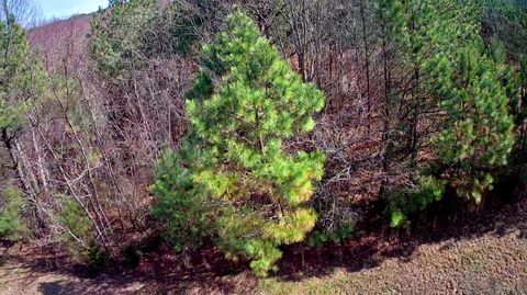 Tiny photo for 255 Falling Cliff Drive, South Pittsburg, TN 37380 (MLS # 1529035)