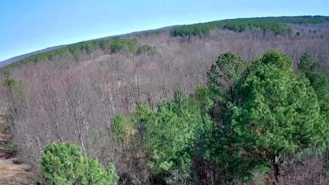 Tiny photo for 255 Falling Cliff Drive, South Pittsburg, TN 37380 (MLS # 1529035)