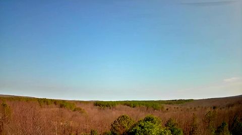 Tiny photo for 255 Falling Cliff Drive, South Pittsburg, TN 37380 (MLS # 1529035)