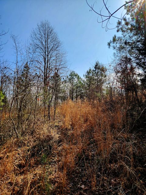 Tiny photo for 255 Falling Cliff Drive, South Pittsburg, TN 37380 (MLS # 1529035)