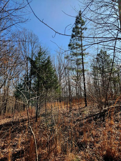 Tiny photo for 255 Falling Cliff Drive, South Pittsburg, TN 37380 (MLS # 1529035)