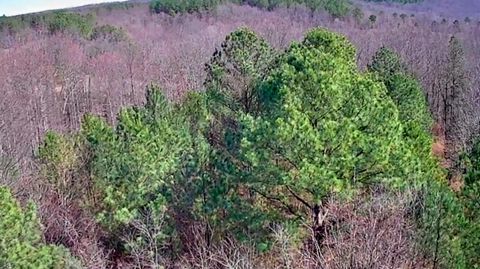 Tiny photo for 255 Falling Cliff Drive, South Pittsburg, TN 37380 (MLS # 1529035)