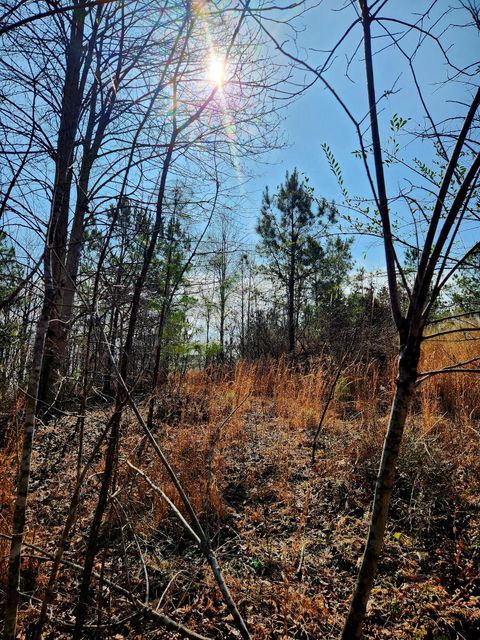 Tiny photo for 255 Falling Cliff Drive, South Pittsburg, TN 37380 (MLS # 1529035)