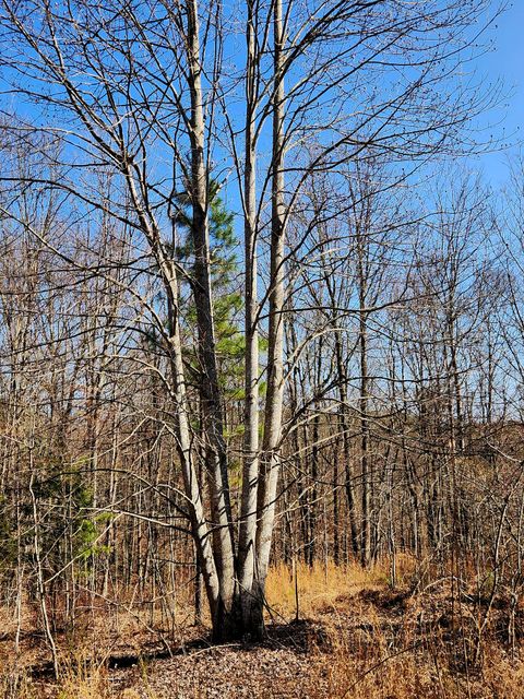 Tiny photo for 255 Falling Cliff Drive, South Pittsburg, TN 37380 (MLS # 1529035)