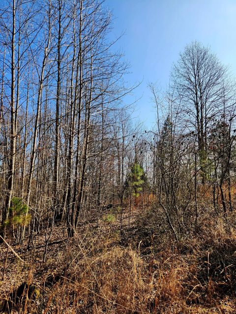 Tiny photo for 255 Falling Cliff Drive, South Pittsburg, TN 37380 (MLS # 1529035)