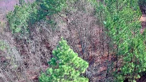 Tiny photo for 255 Falling Cliff Drive, South Pittsburg, TN 37380 (MLS # 1529035)