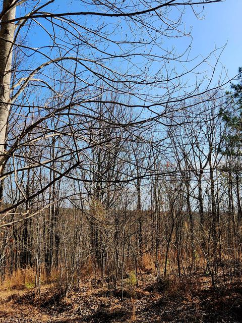 Tiny photo for 255 Falling Cliff Drive, South Pittsburg, TN 37380 (MLS # 1529035)