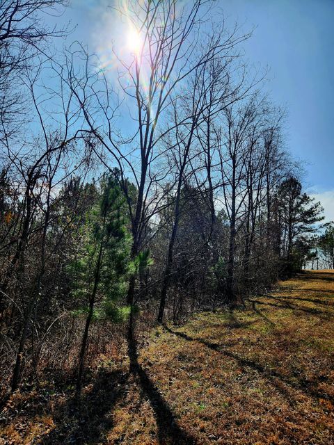 Tiny photo for 255 Falling Cliff Drive, South Pittsburg, TN 37380 (MLS # 1529035)