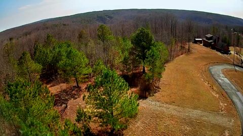 Photo of 255 Falling Cliff Drive, South Pittsburg, TN 37380 (MLS # 1529035)