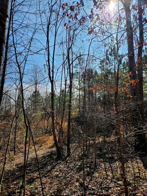 Tiny photo for 255 Falling Cliff Drive, South Pittsburg, TN 37380 (MLS # 1529035)