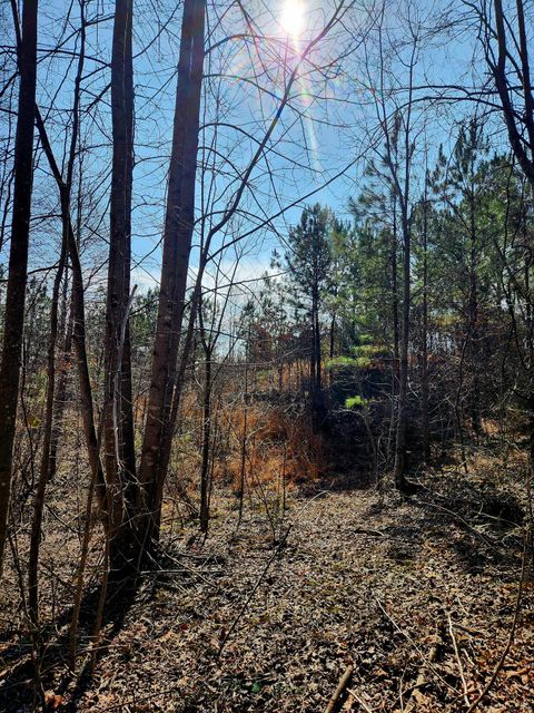 Tiny photo for 255 Falling Cliff Drive, South Pittsburg, TN 37380 (MLS # 1529035)