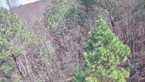 Tiny photo for 255 Falling Cliff Drive, South Pittsburg, TN 37380 (MLS # 1529035)