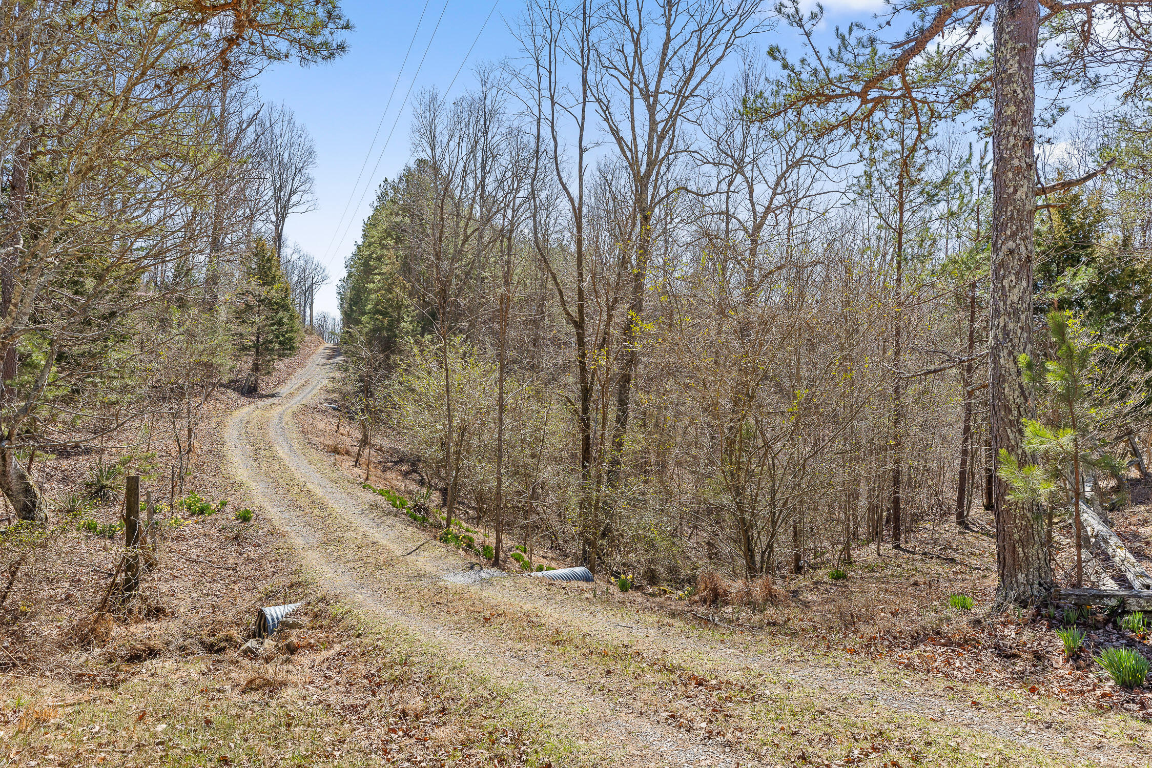 610 Orme Mountain Road, South Pittsburg, Tennessee image 32