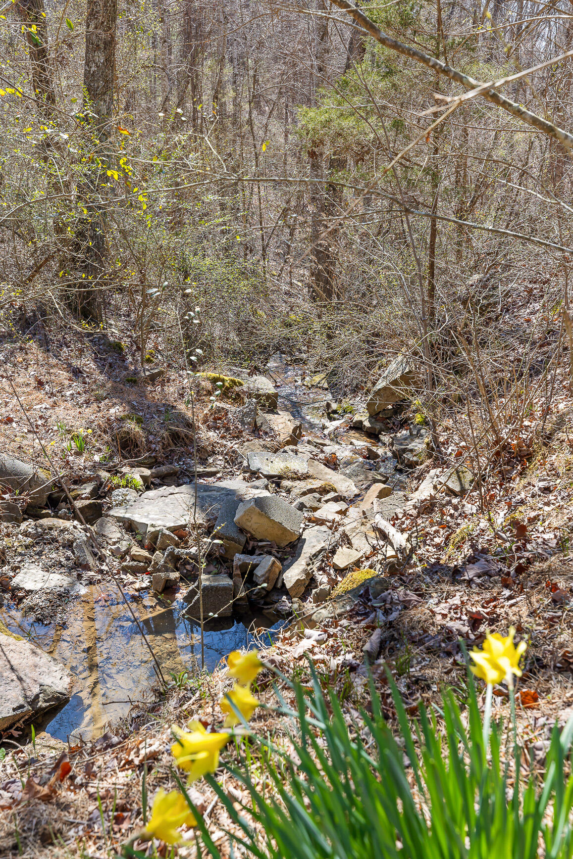 610 Orme Mountain Road, South Pittsburg, Tennessee image 5