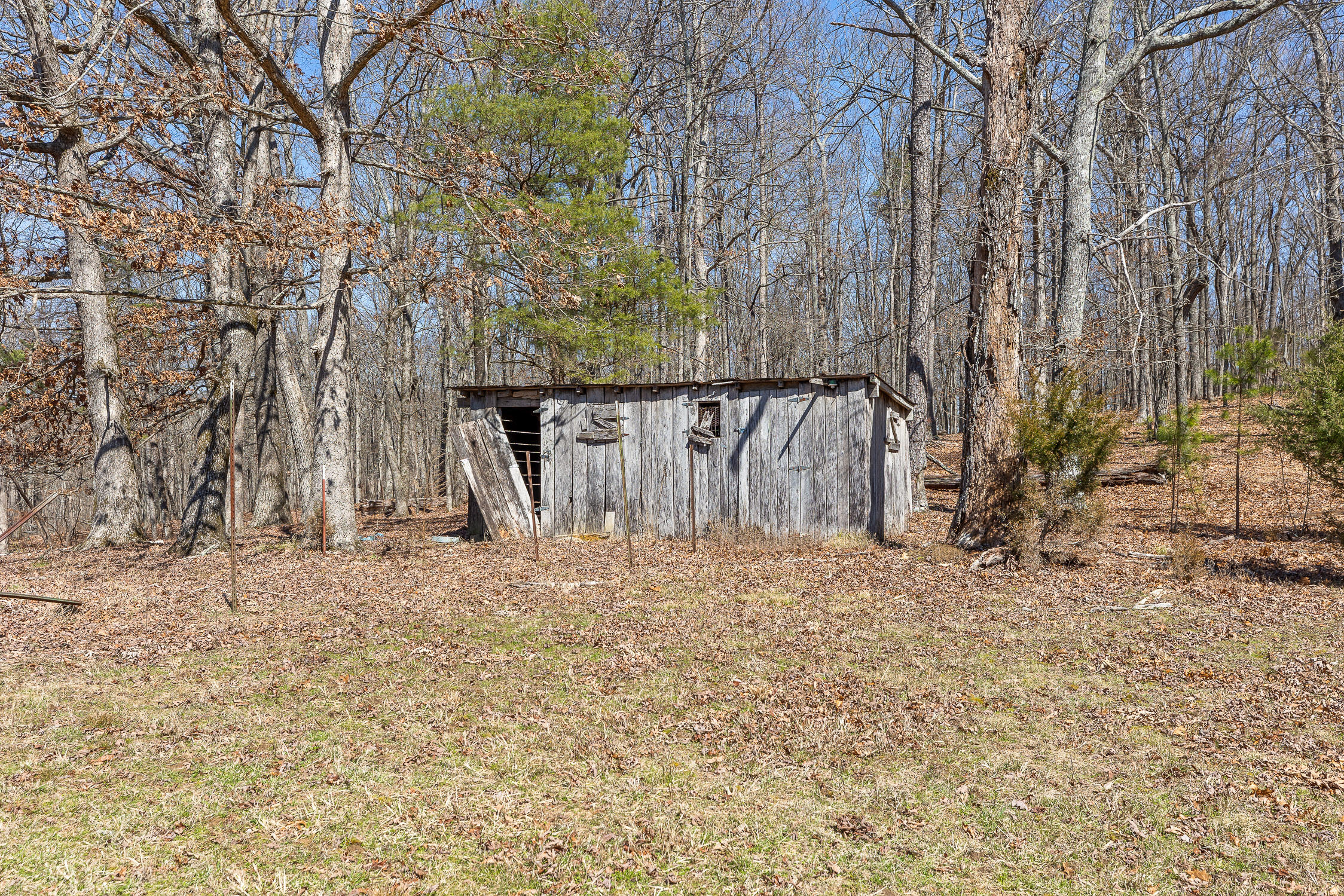 610 Orme Mountain Road, South Pittsburg, Tennessee image 31