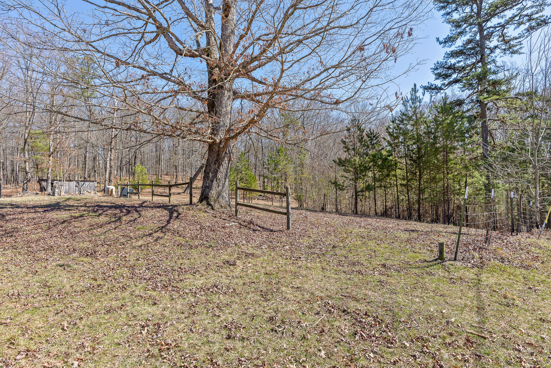 610 Orme Mountain Road, South Pittsburg, Tennessee image 30