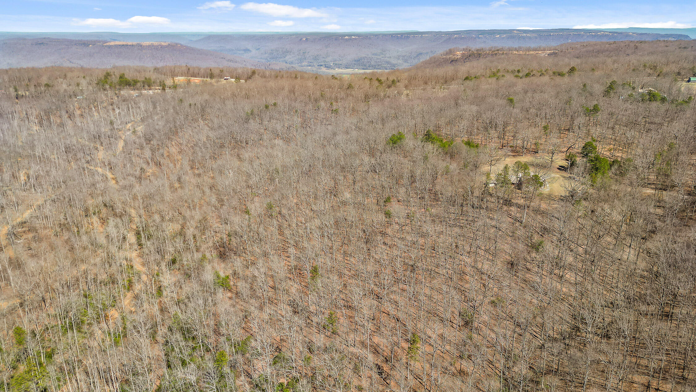 610 Orme Mountain Road, South Pittsburg, Tennessee image 44