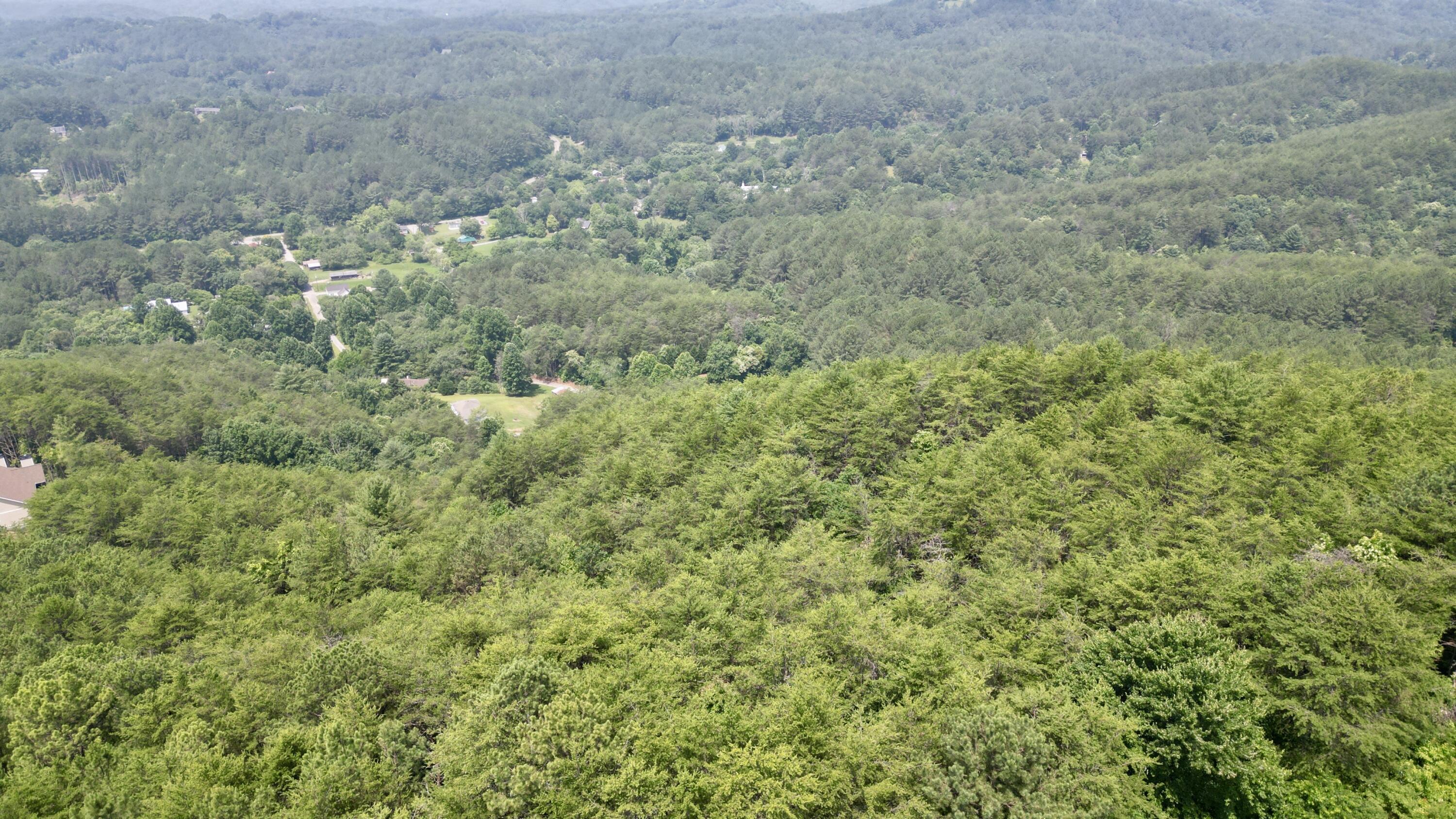 Little Mountain Rd Road, Copperhill, Tennessee image 4