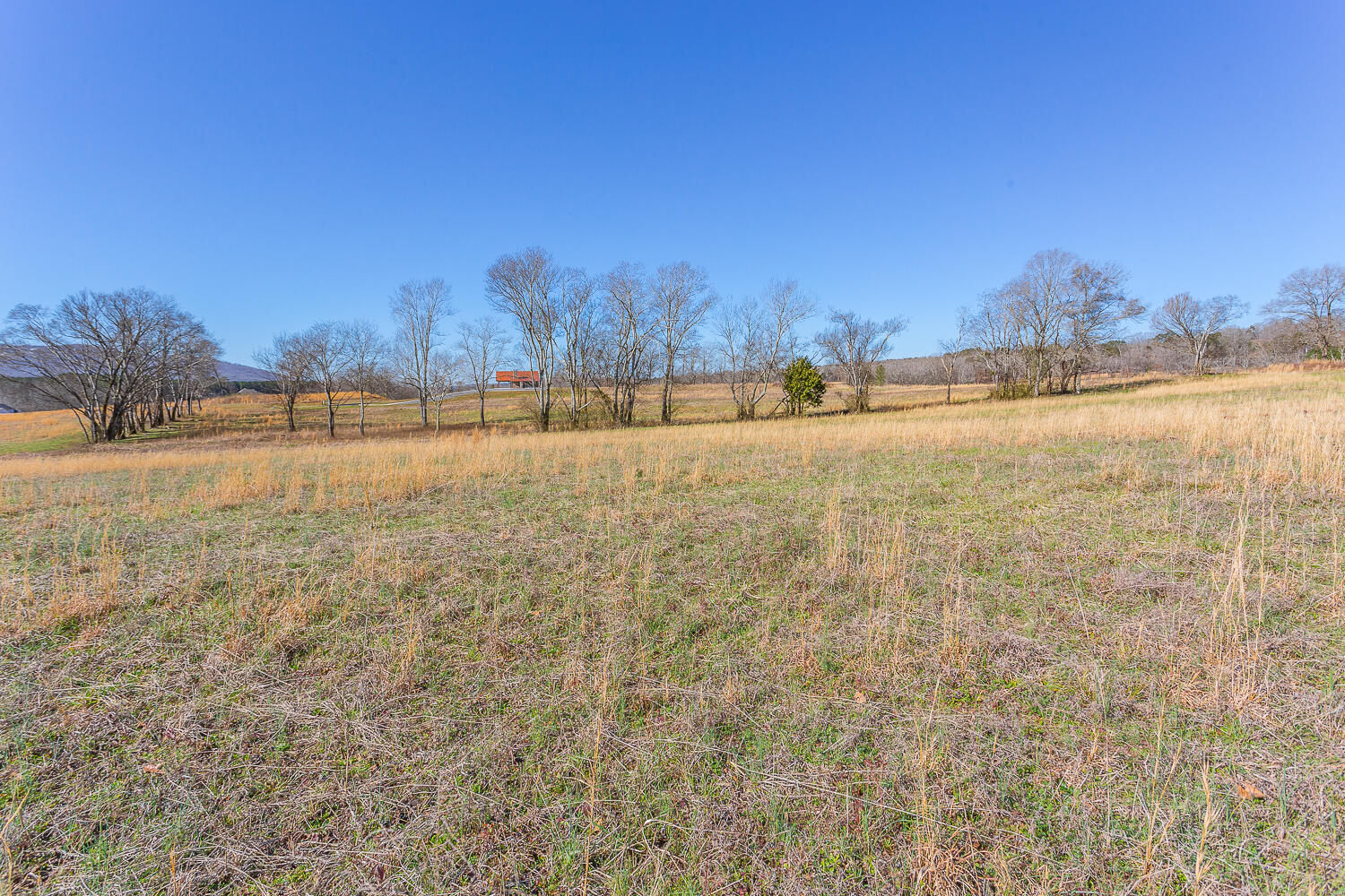 Edgewater Way #170, Jasper, Tennessee image 10