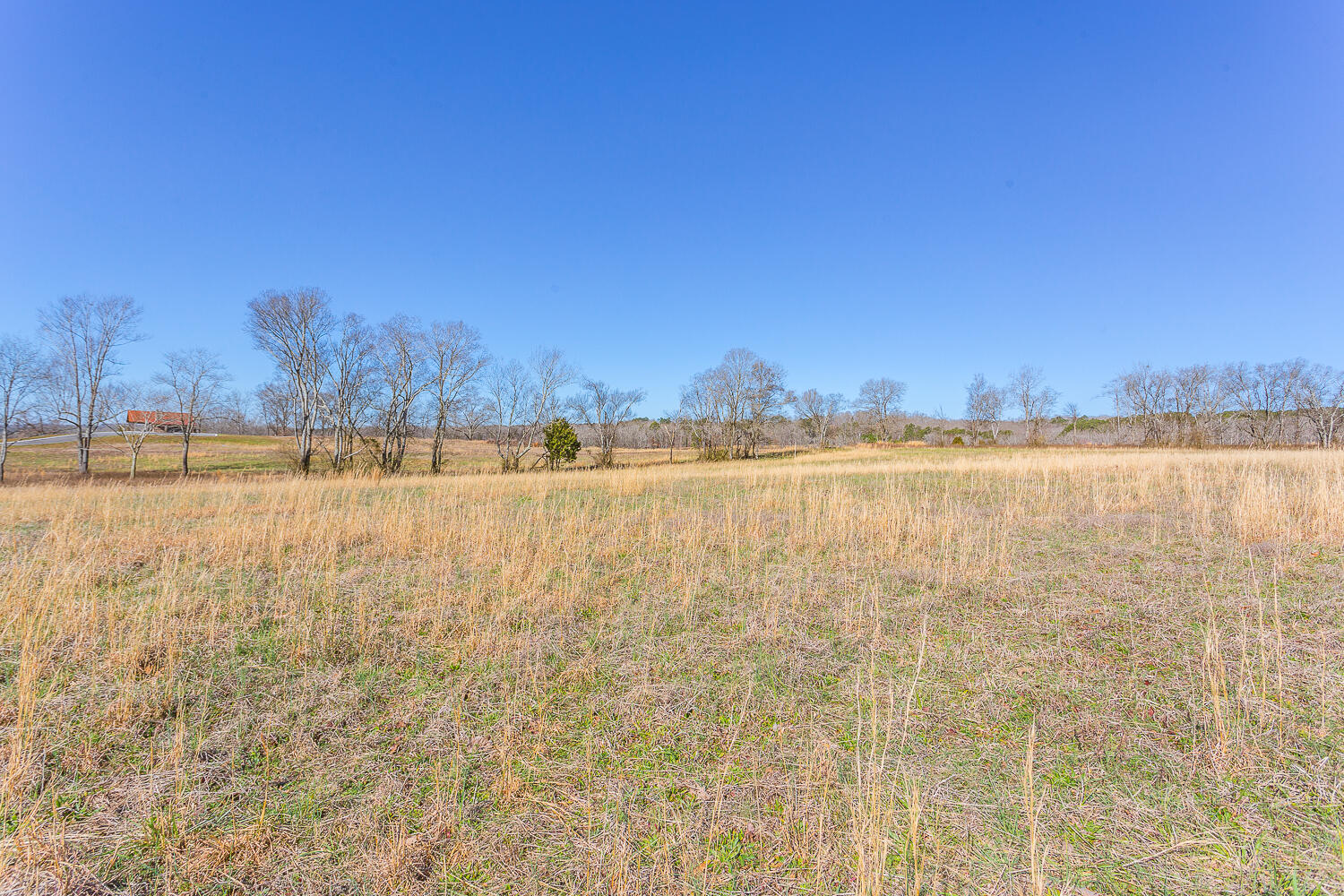Edgewater Way #170, Jasper, Tennessee image 9
