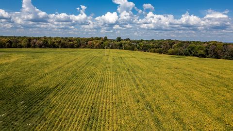 Photo of 10484 Co Rd 14, Flat Rock, AL 35966 (MLS # 1501113)