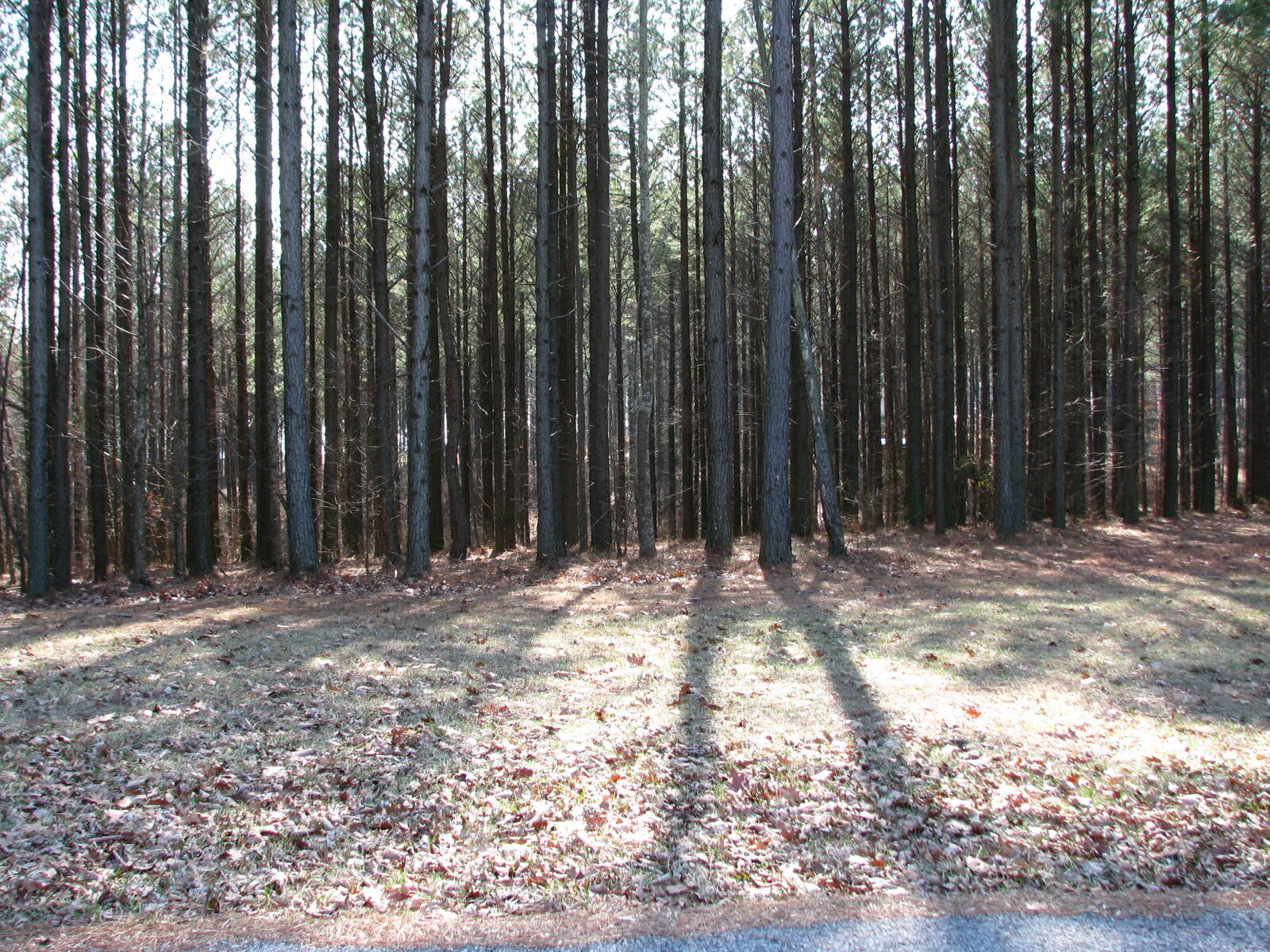 High Point Lane #LOT 79, Jasper, Tennessee image 1