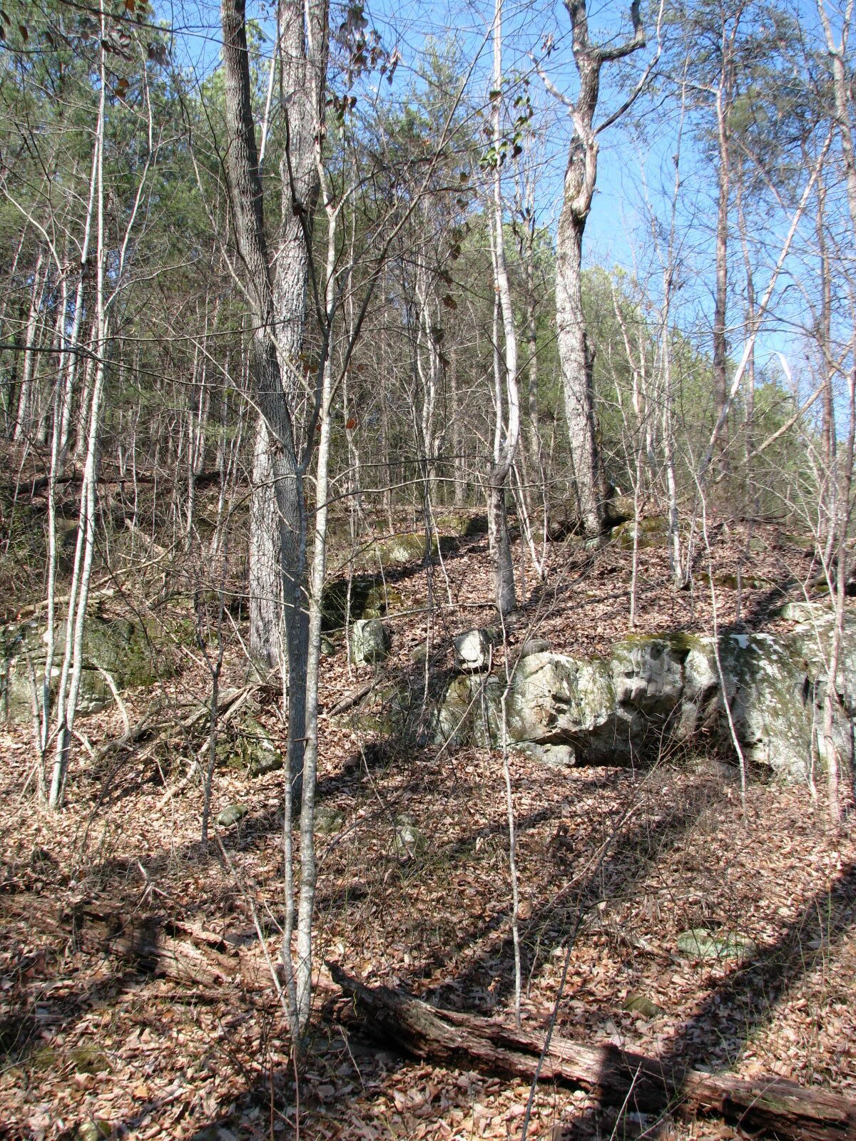 High Point Lane #LOT 79, Jasper, Tennessee image 11