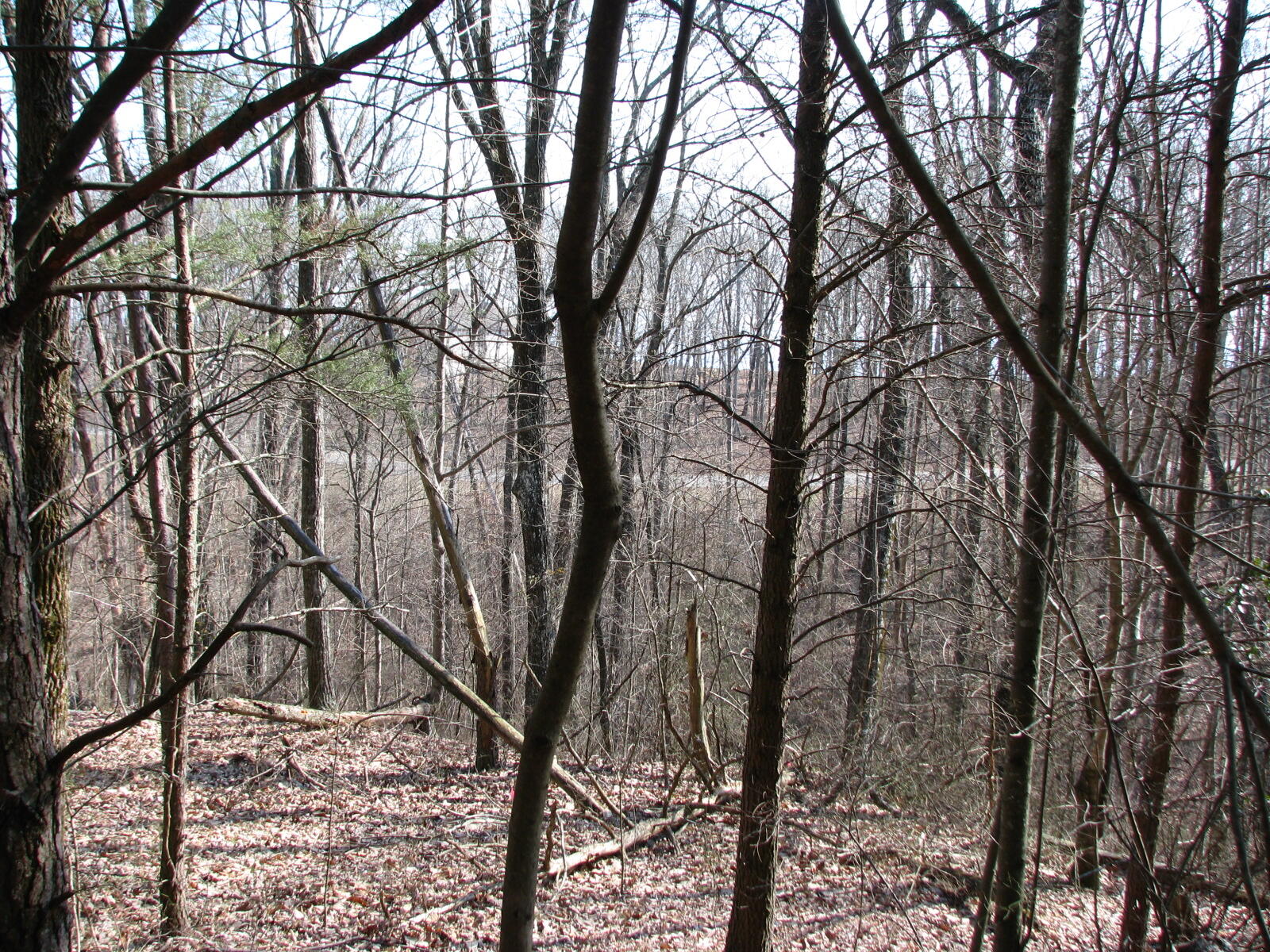 High Point Lane #LOT 79, Jasper, Tennessee image 7