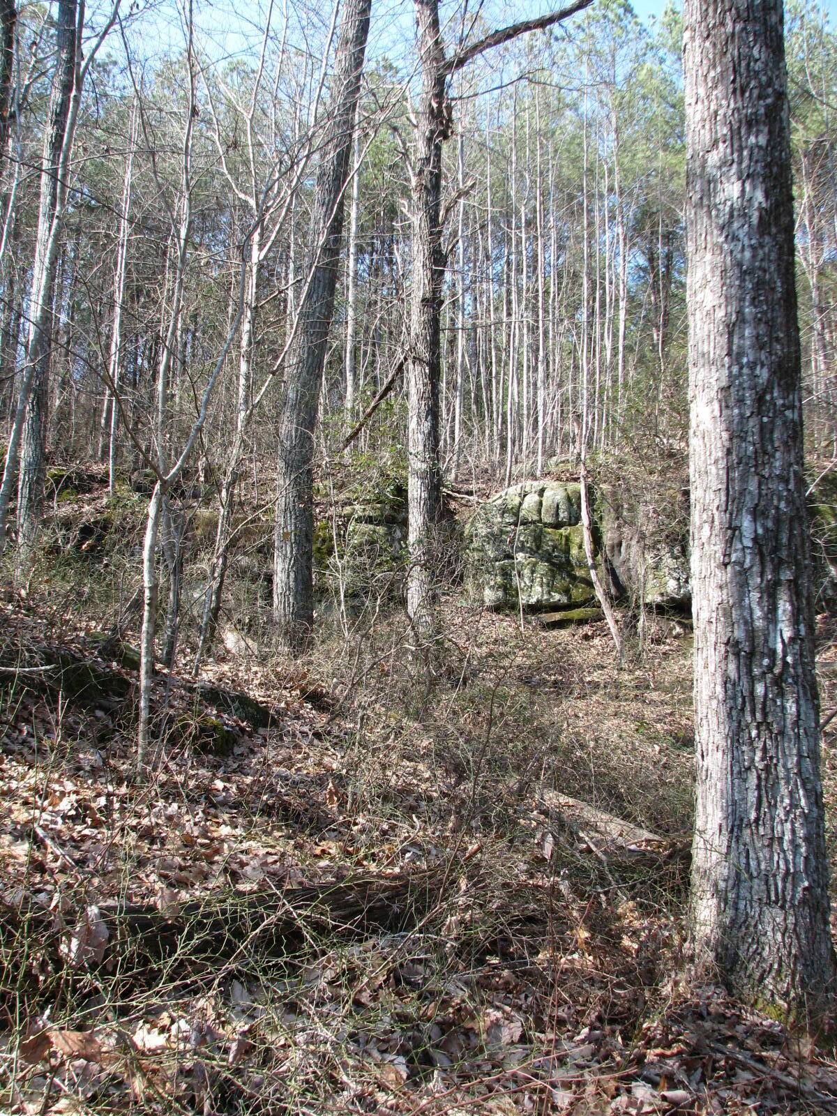 High Point Lane #LOT 79, Jasper, Tennessee image 13