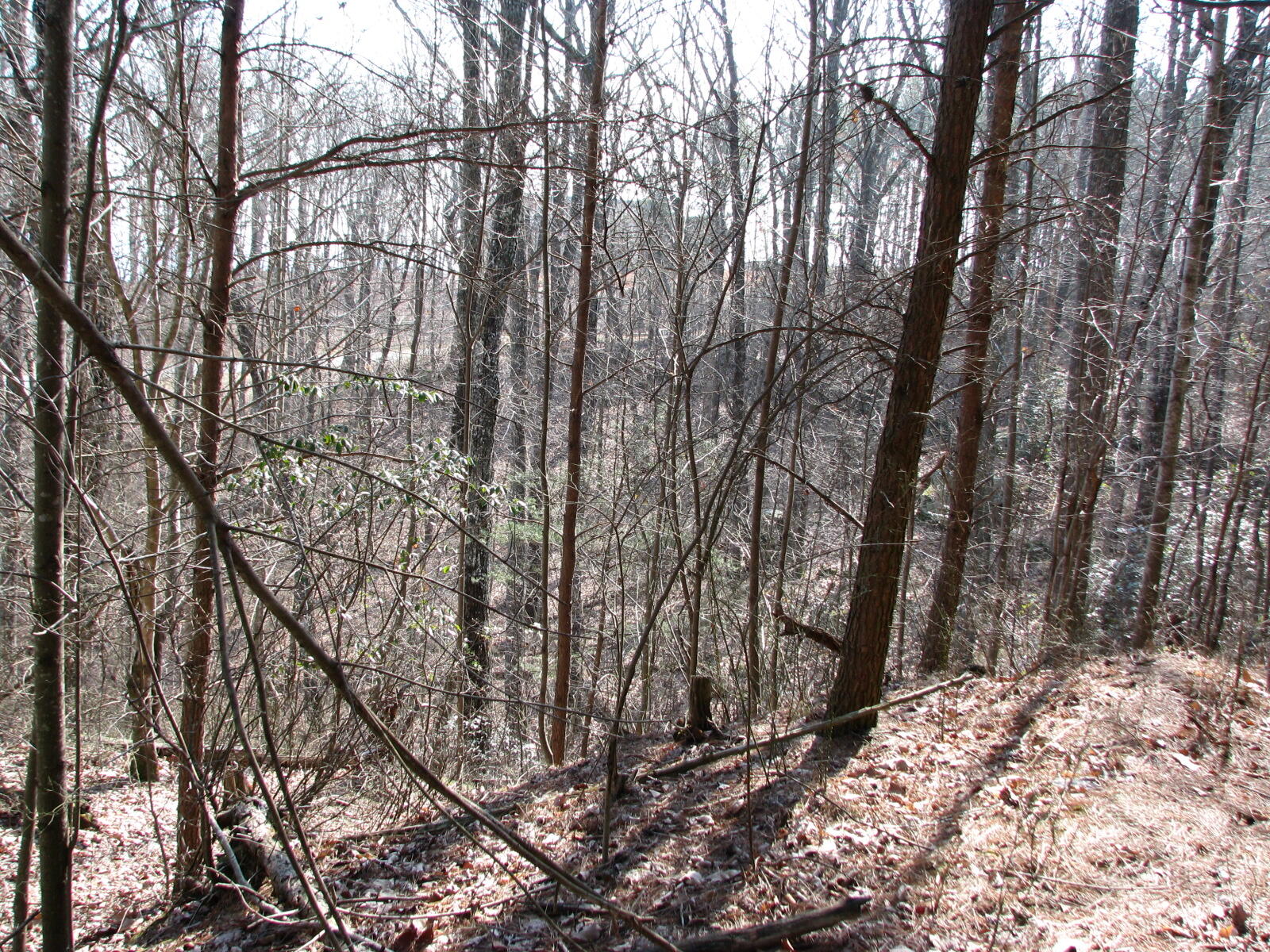 High Point Lane #LOT 79, Jasper, Tennessee image 9