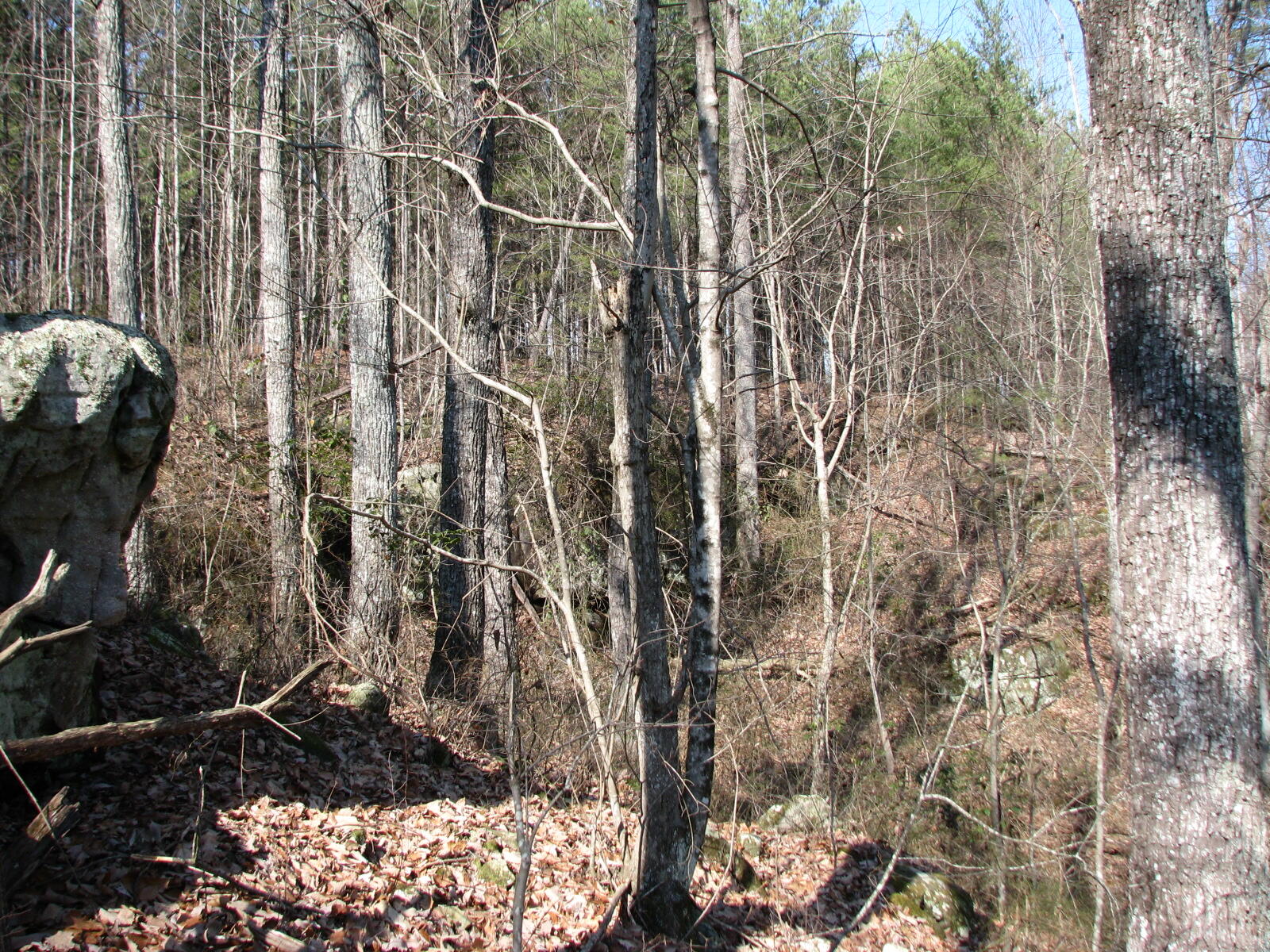 High Point Lane #LOT 79, Jasper, Tennessee image 10