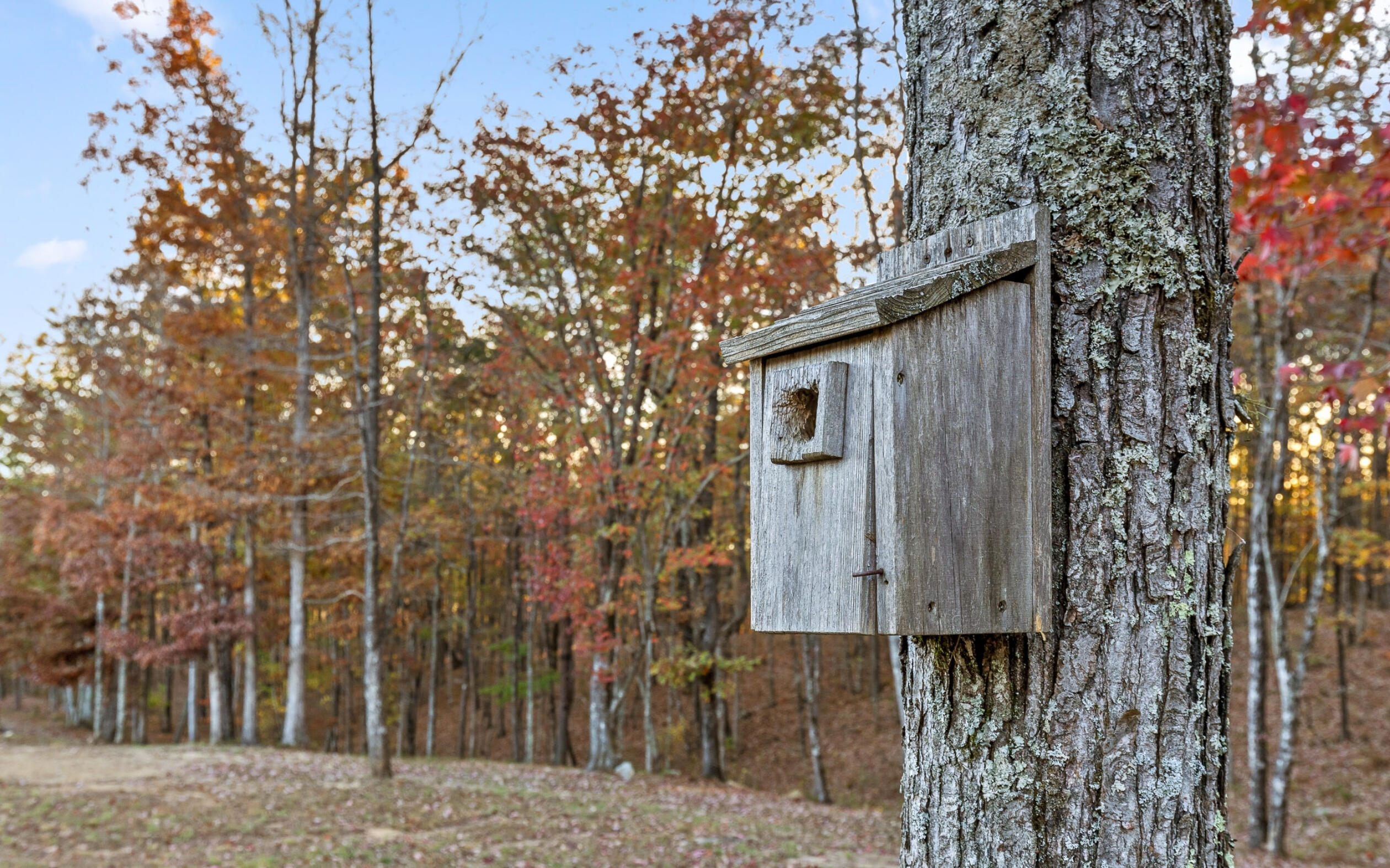 3868 Hobbstown Road, Dunlap, Tennessee image 14