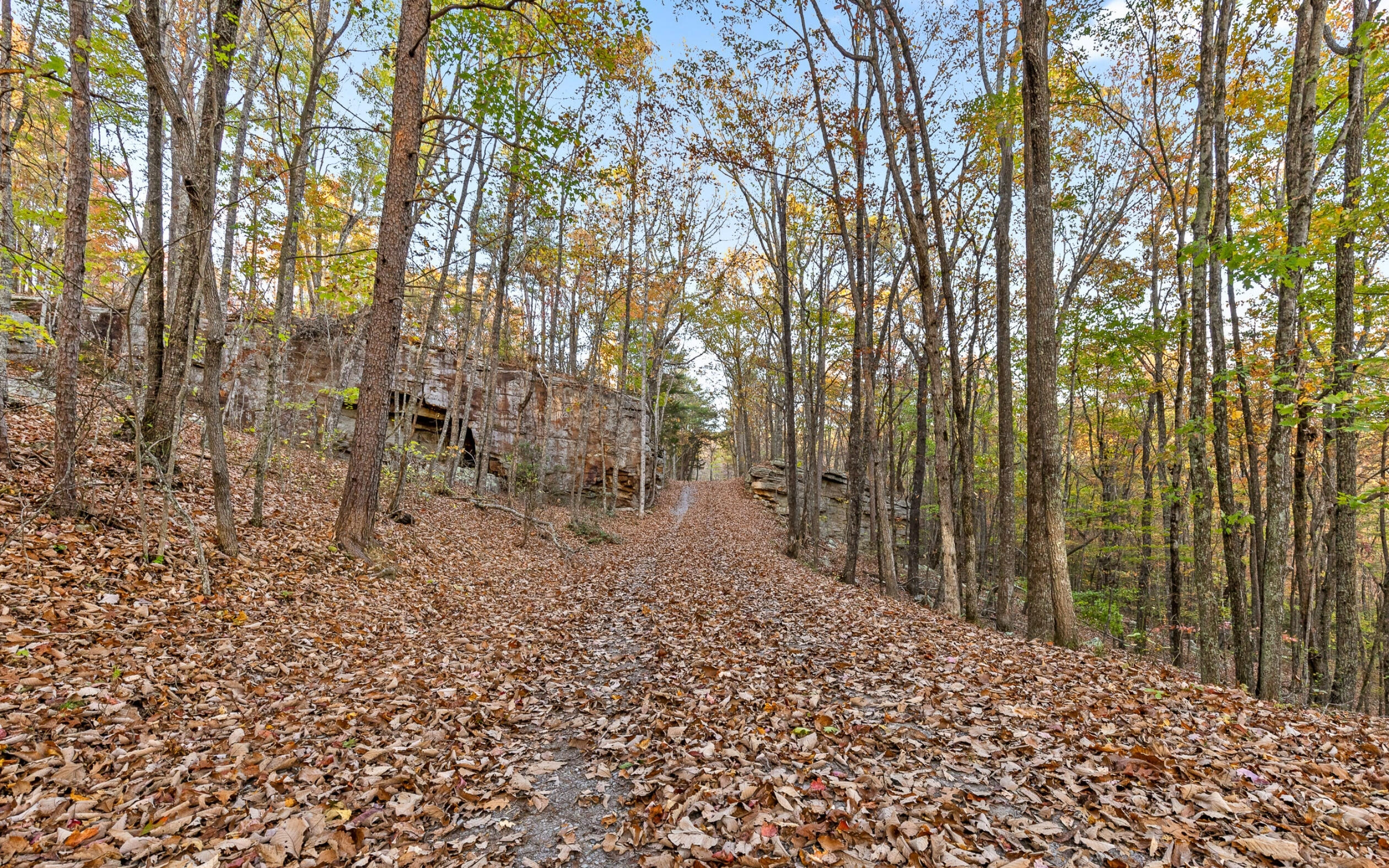 3868 Hobbstown Road, Dunlap, Tennessee image 15