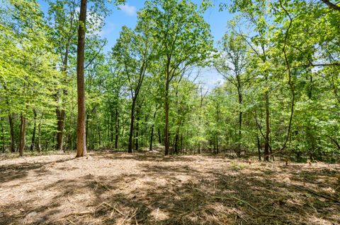 Photo of Lot 8 Mcdonald Road, McDonald, TN 37353 (MLS # 1532963)