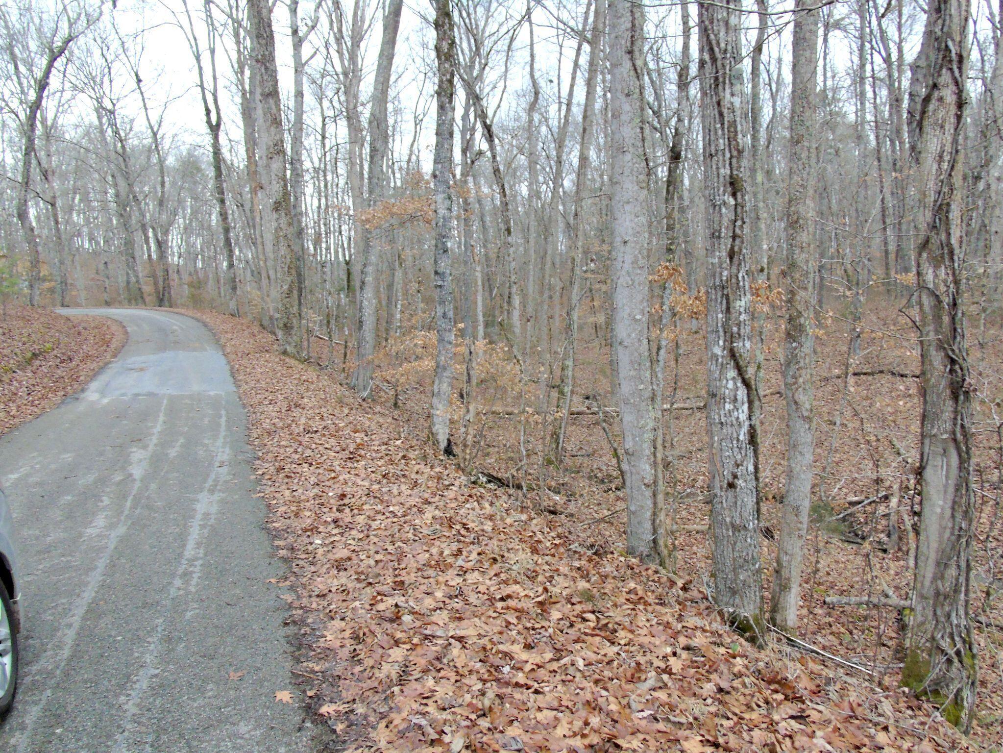 Cottonport Ferry Road, Decatur, Tennessee image 8