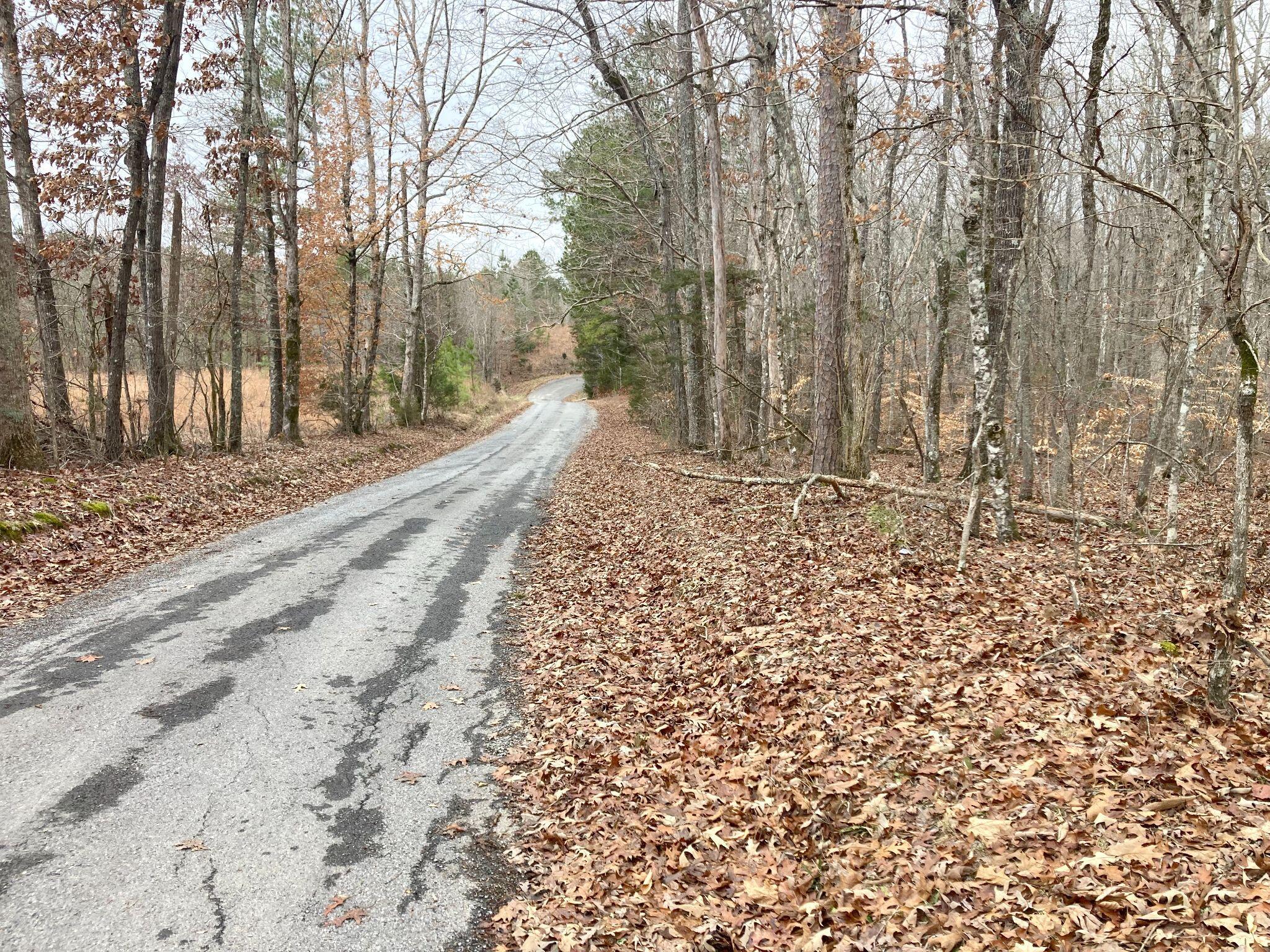 Cottonport Ferry Road, Decatur, Tennessee image 1