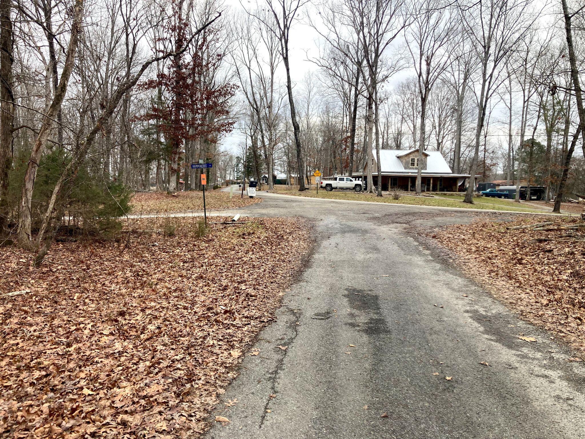 Cottonport Ferry Road, Decatur, Tennessee image 2