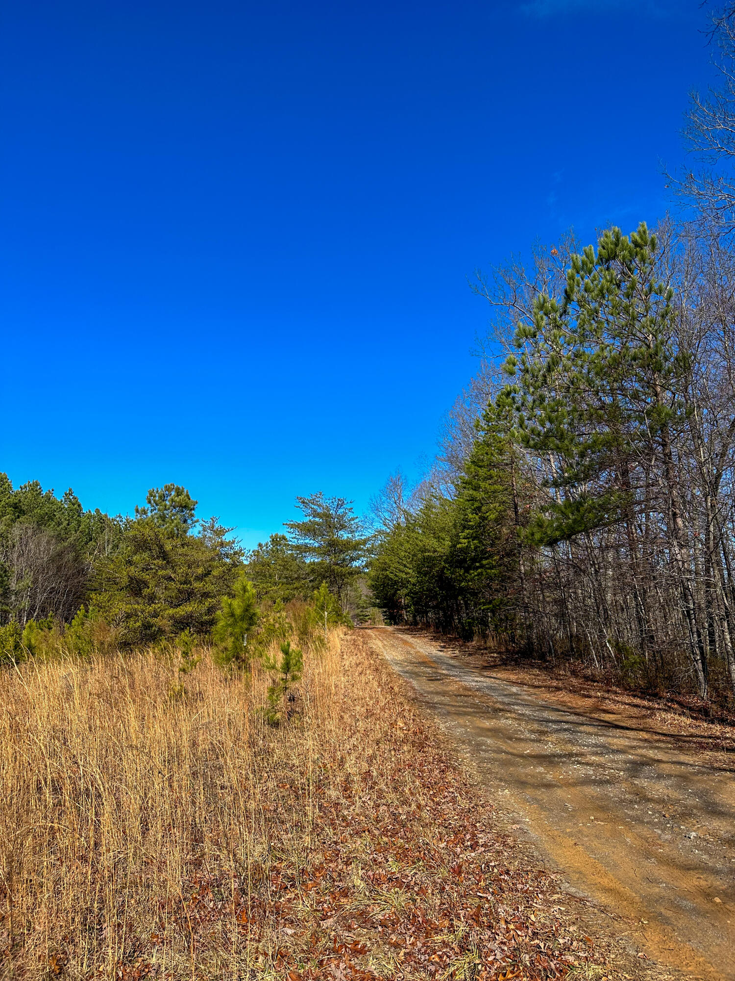 S Pittsburg Mountain Road, South Pittsburg, Tennessee image 7