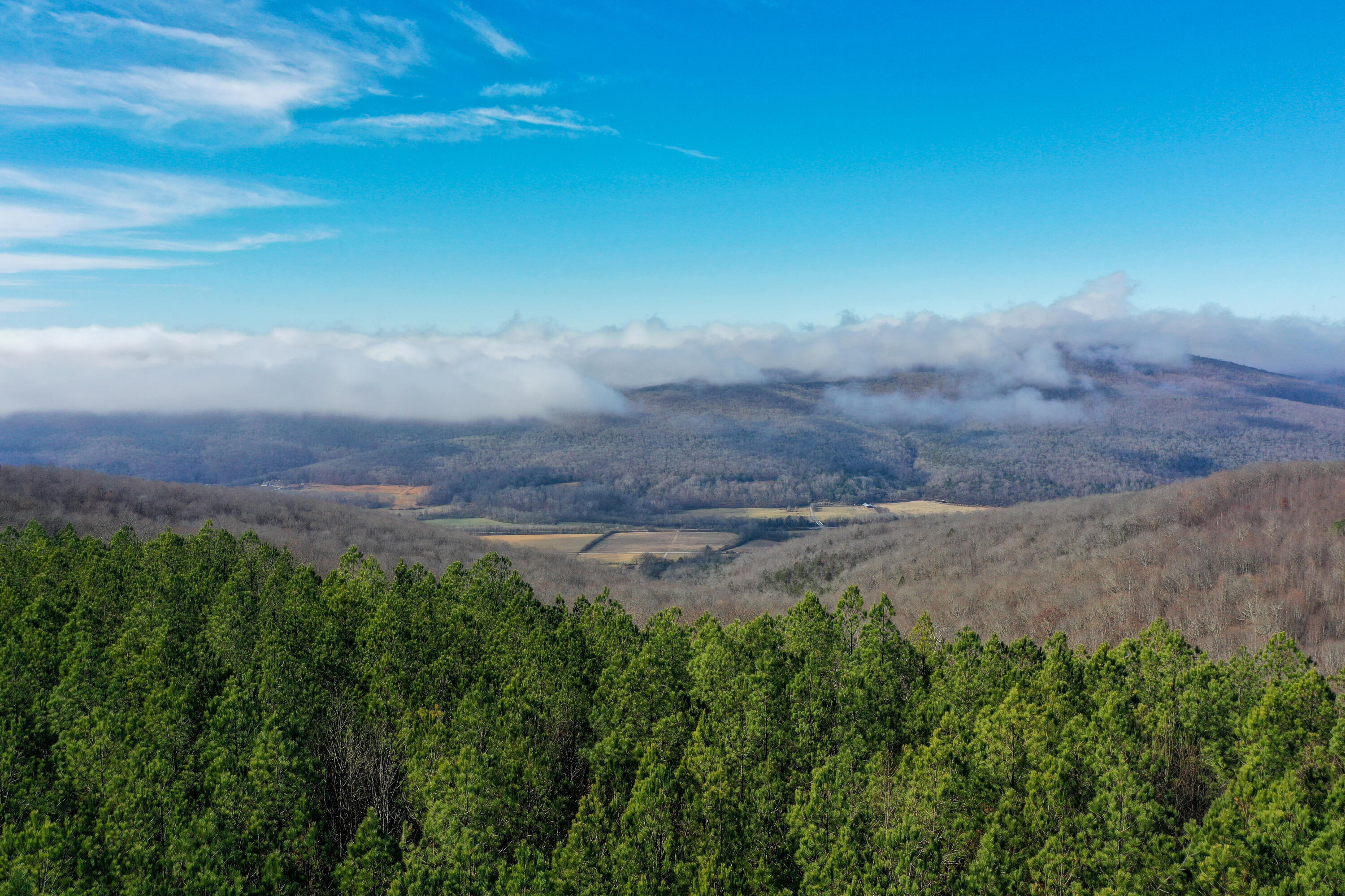 S Pittsburg Mountain Road, South Pittsburg, Tennessee image 2