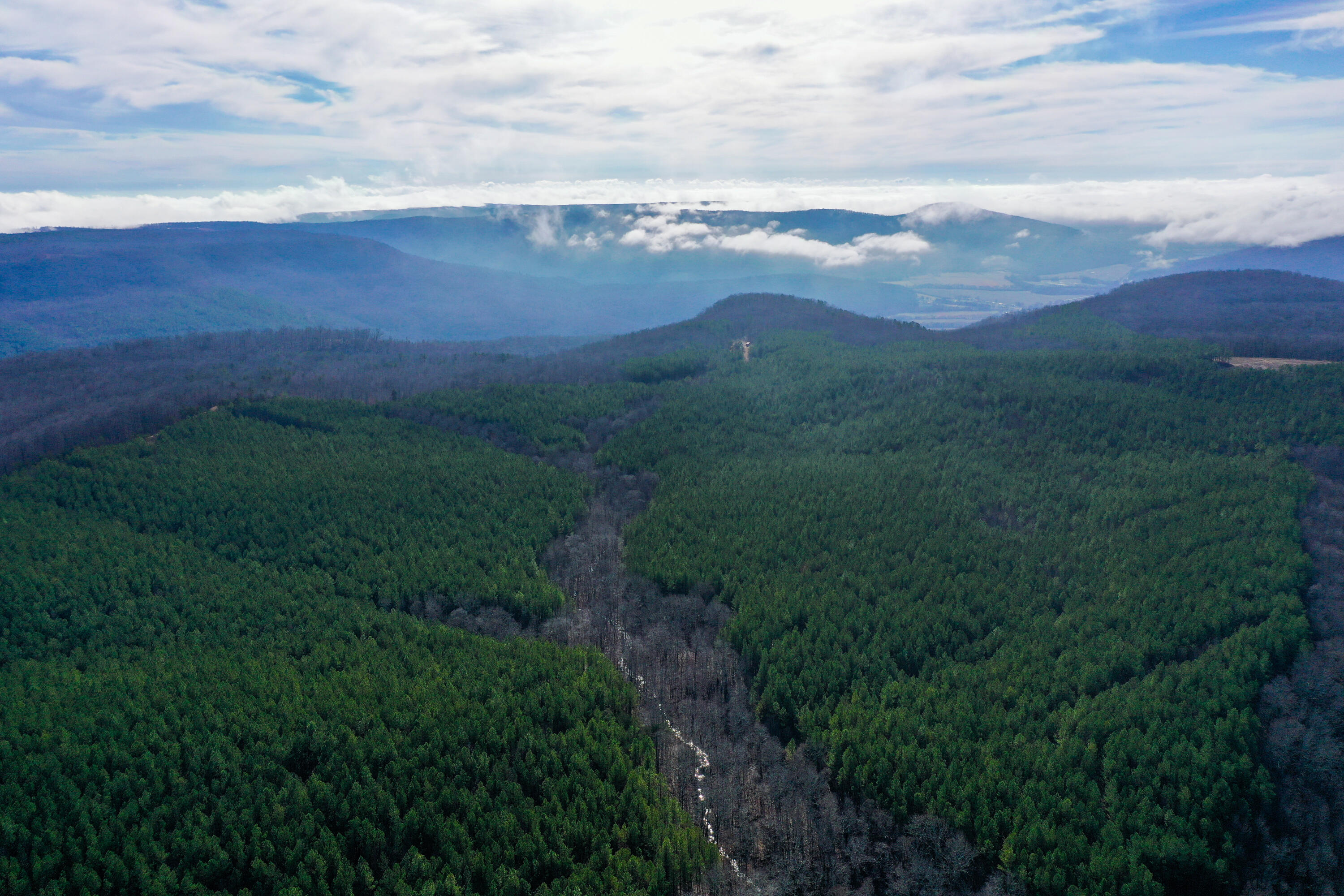 S Pittsburg Mountain Road, South Pittsburg, Tennessee image 1