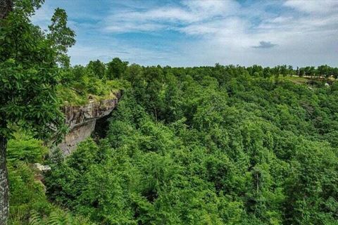 Tiny photo for 640 River Bluffs Drive, Jasper, TN 37347 (MLS # 1513088)