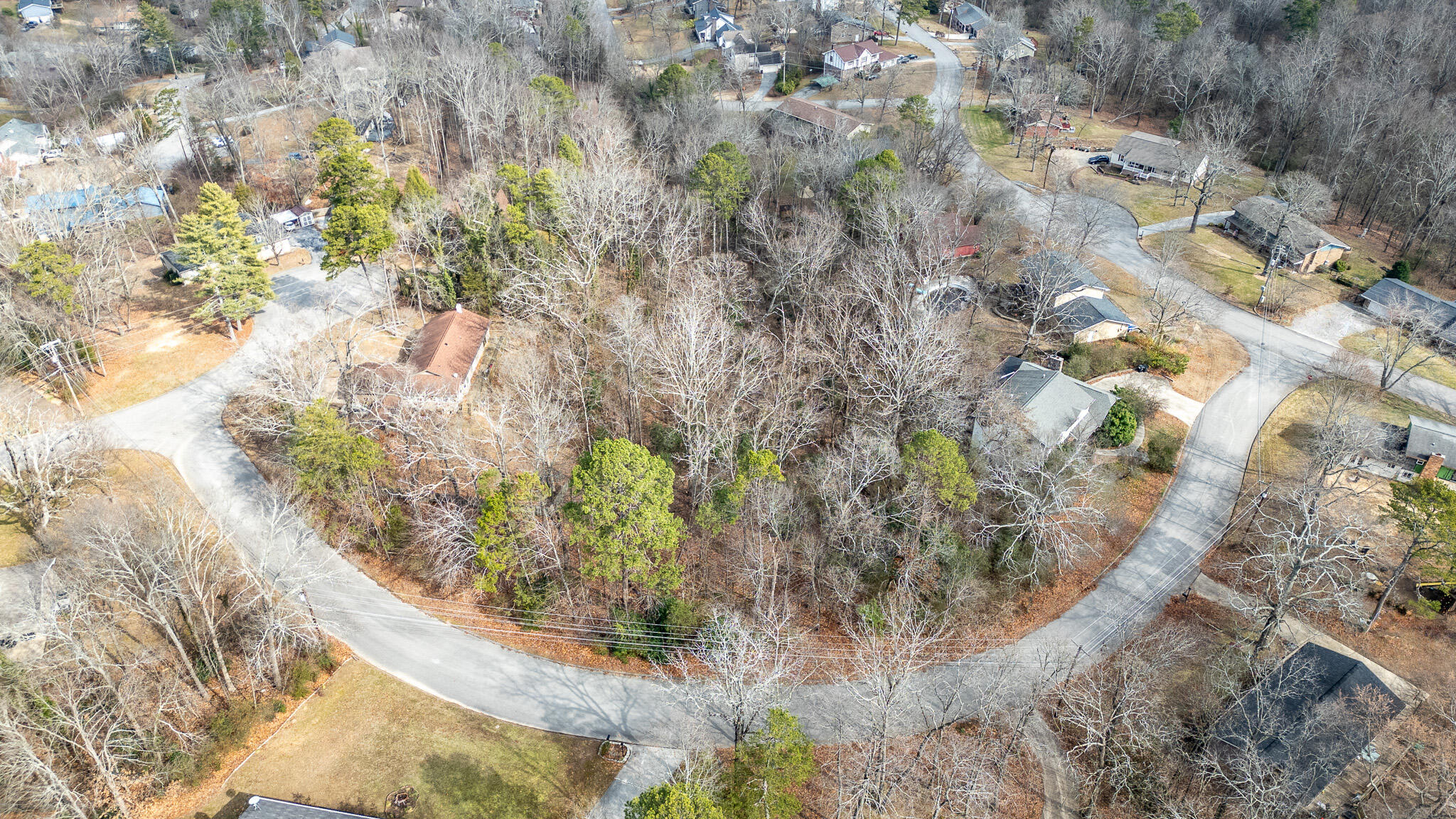 Villa Rica Circle, Chattanooga, Tennessee image 4