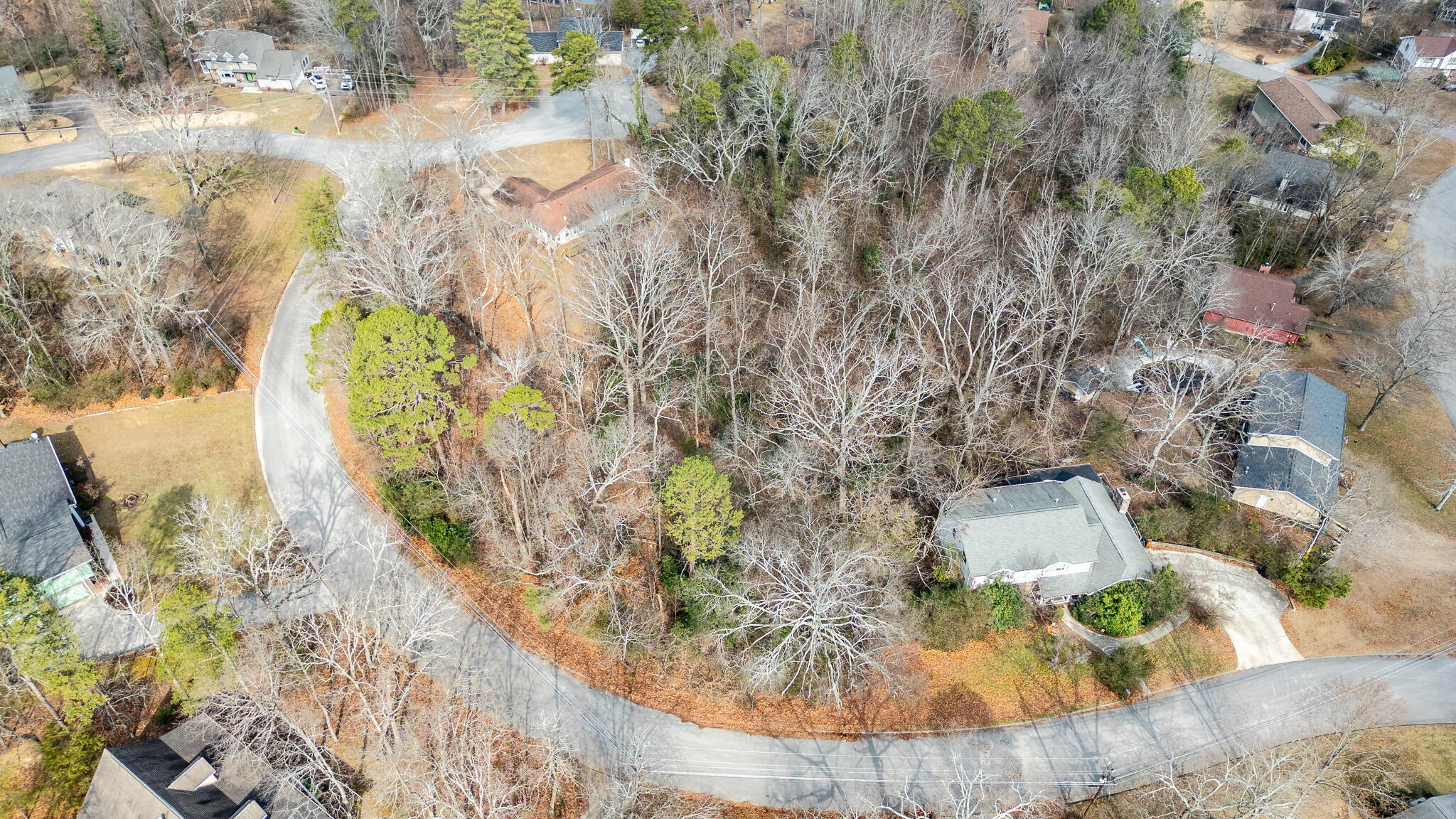 Villa Rica Circle, Chattanooga, Tennessee image 5