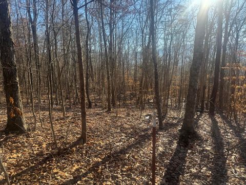 Photo of 280 Chapman Road #Tract 2, Dunlap, TN 37327 (MLS # 1505704)